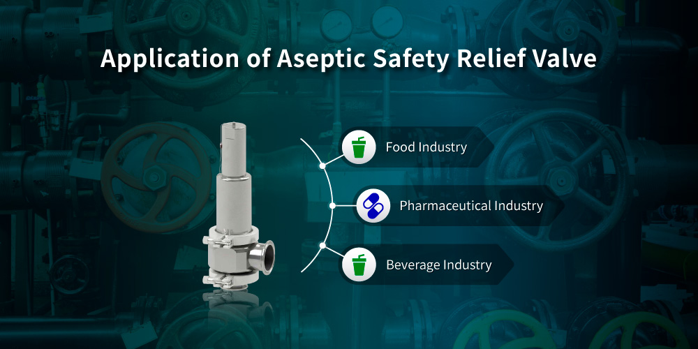 Hants Aseptic Safety Relief Valve for clean steam equipment, pressure vessels, and hygienic pipelines in pharmaceutical, food, and beverage processing