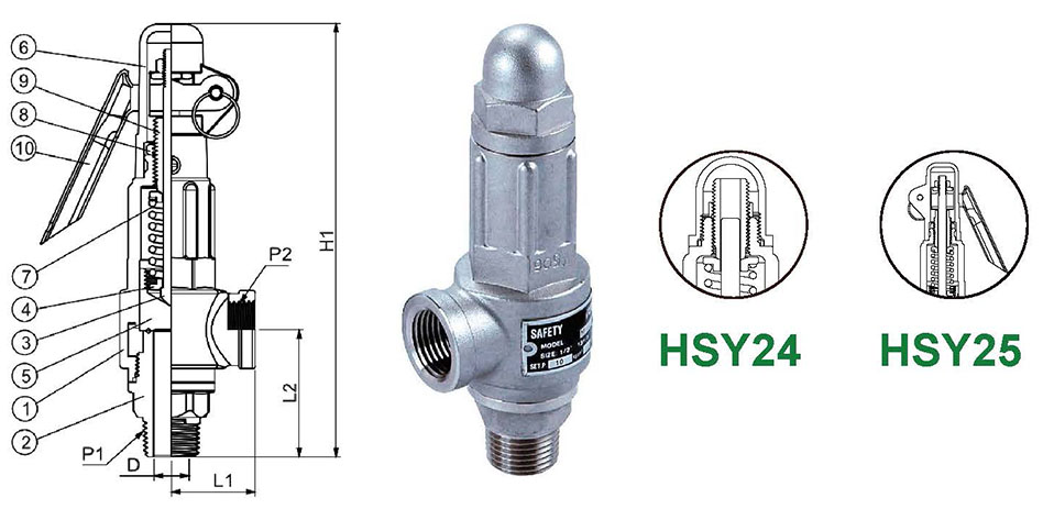 Different types of Design and Disc Material Selections Hants stainless steel type high lift safety valve design and disc options