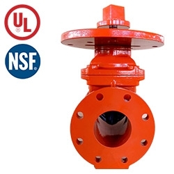 NRS Gate Valve