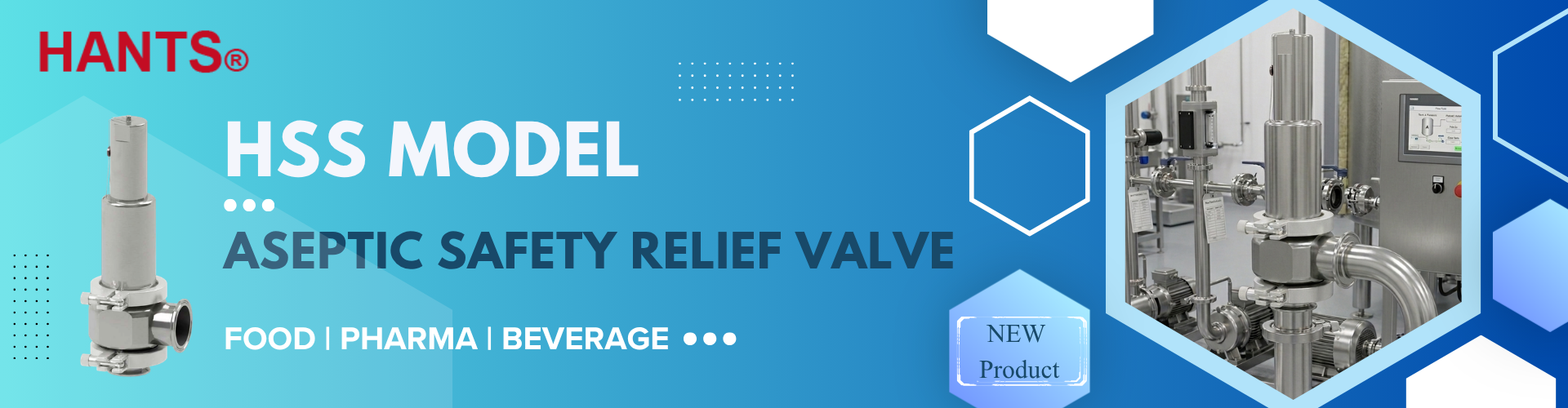 CIP/SIP-Capable Valve for Hygienic Overpressure Protection in High-Purity Steam, Gas, and Liquid Applications